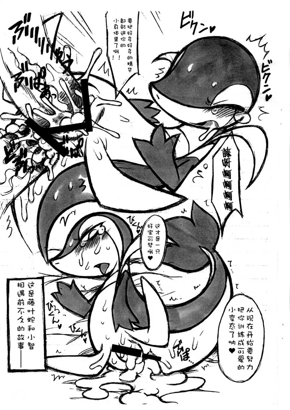 (C79) [Mayoineko (Nakagami Takashi)] Himitsu no WB (Pokemon) [Chinese] [尾窝汉化组] - Page 5