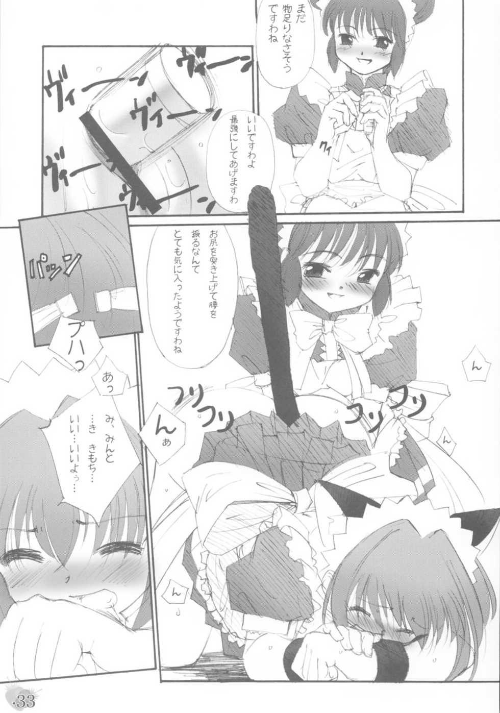 (C63) [G-Power! (Gody, SASAYUKi)] YOU ARE THE ONLY version:Tokyo mew mew (Tokyo Mew Mew) - Page 32