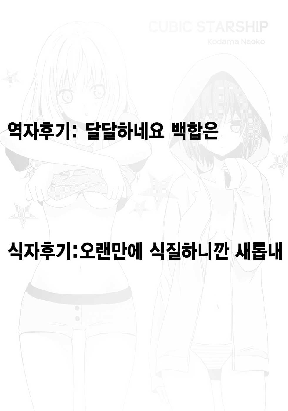 [Kodama Naoko] Cubic Starship | 큐빅 스타십 (YuriHime Wildrose Vol. 8) [Korean] - Page 15