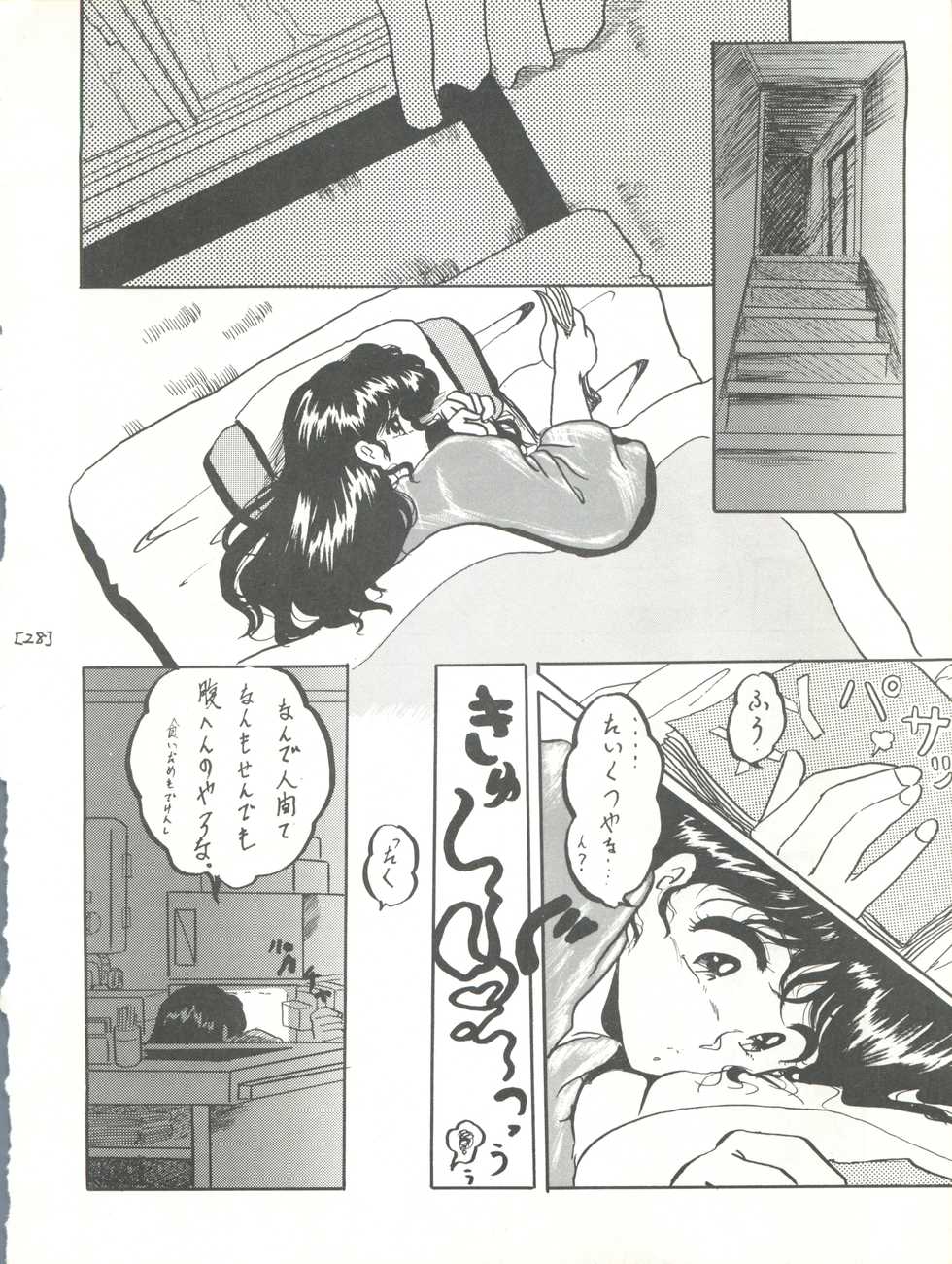 (C44) [L-Gauge Sha (Shouryuu)] WA 3 (Ranma 1/2) - Page 28