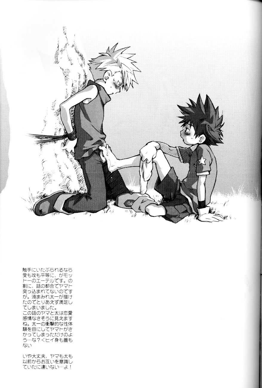 (Shota Collection 02) [Saihate] SATELLITE U (Digimon Adventure, Digimon Frontier) - Page 20