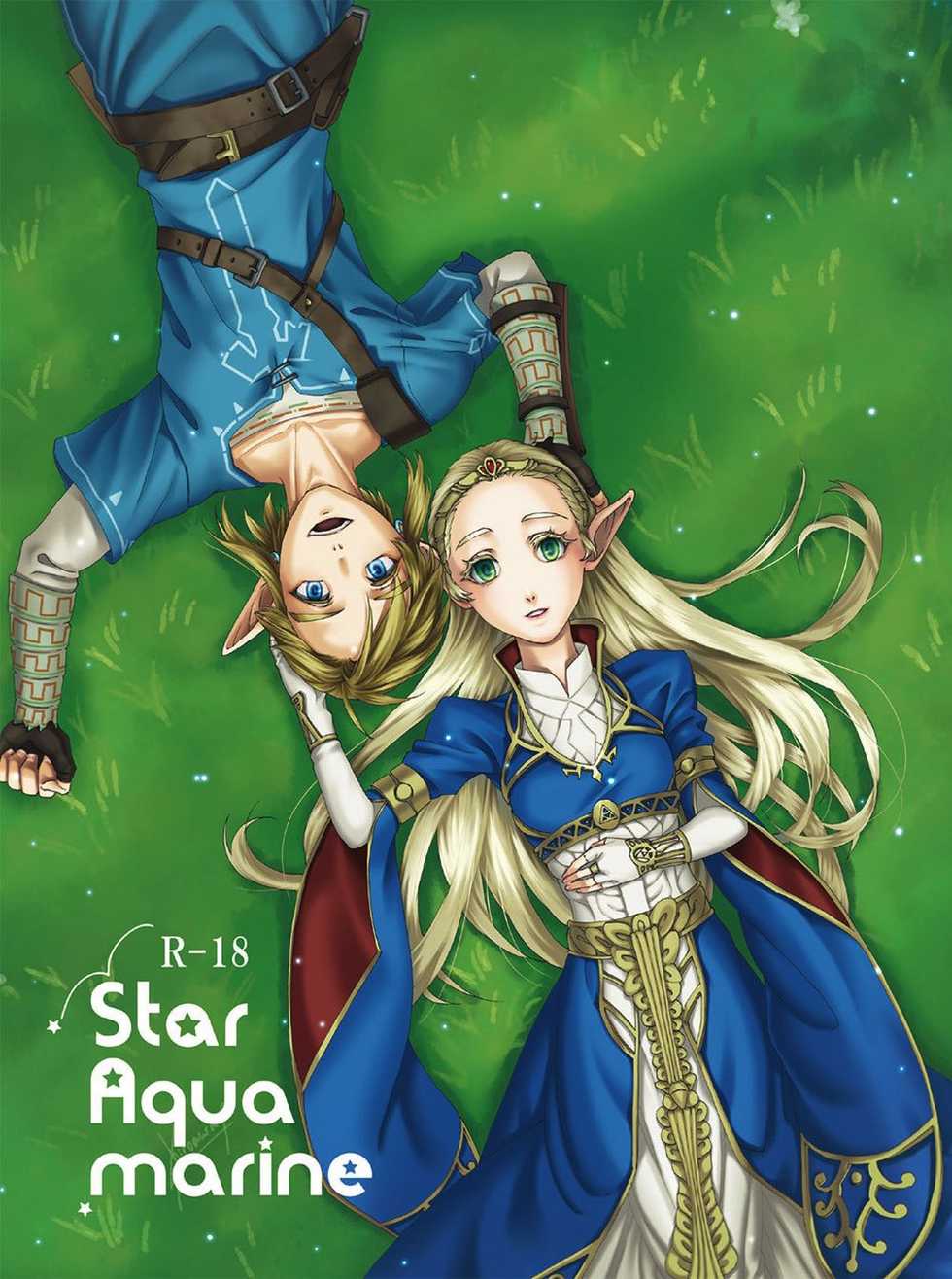[MYLAB (Shiroa Urang)] Star Aquamarine (The Legend of Zelda) [Digital] - Page 1
