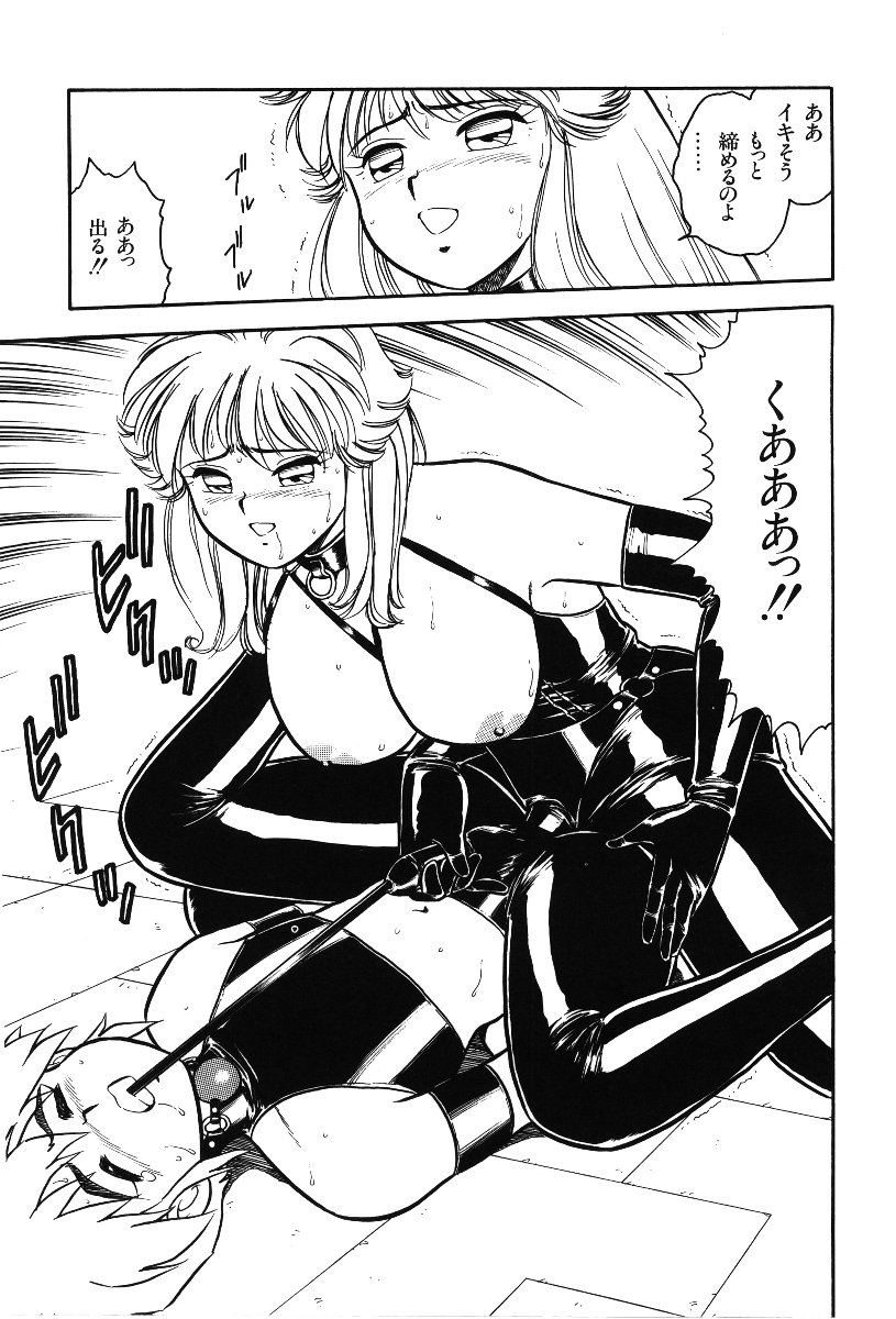 [Shinozaki Rei] Desert Mistress - Page 11