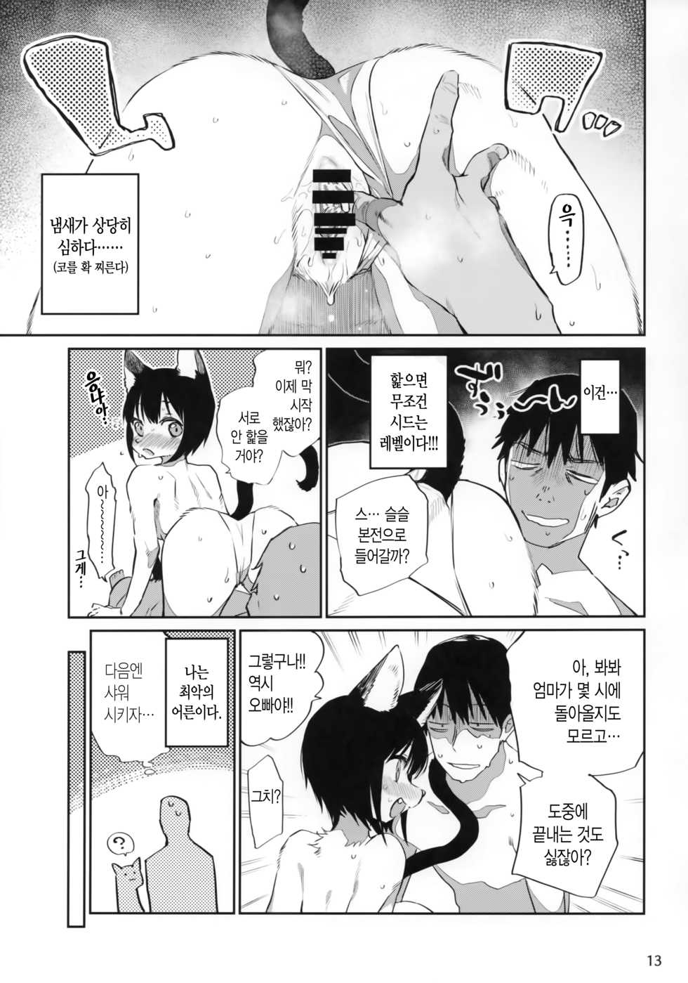 (Kansai! Kemoket 7) [Mizone Doubutsuen (Mizone)] Tokyo Matatabi Ame  | 도쿄 개다래 사탕 [Korean] - Page 12