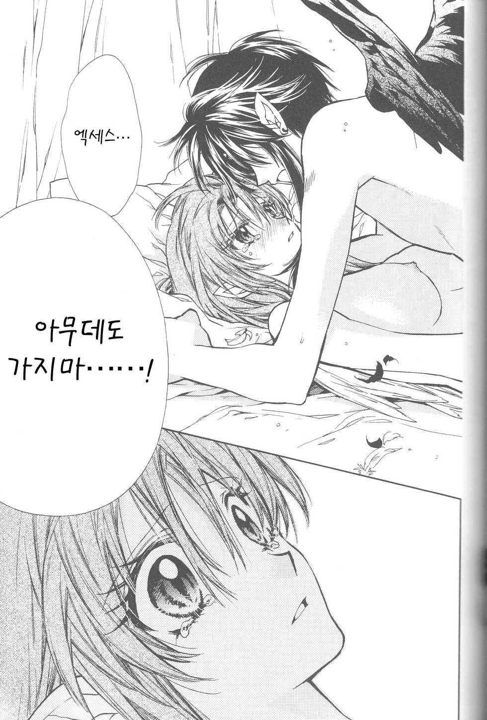 (C86) [Meguro Teikoku (Tanemura Arina)] Tenshi to Yakusoku no Rondo (Kamikaze Kaitou Jeanne) [Korean] <Team Janus> - Page 17