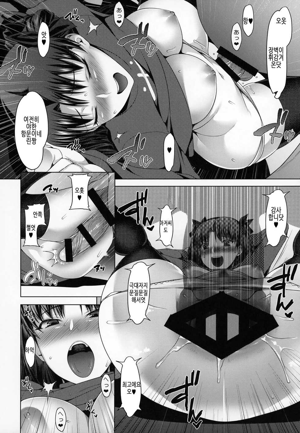 (C94) [Ruiketsuan (Namidame)] Emiya ke Futei Koukou Ryouiki ~Tosaka Rin no Baai~ (Fate/stay night) [Korean] - Page 15