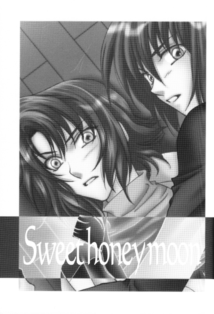 [Yougekishu (Arina Toshimi)] sweet honey moon (Gundam SEED DESTINY) [English] [Arigatomina] - Page 2