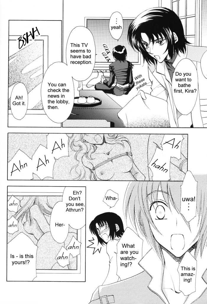 [Yougekishu (Arina Toshimi)] sweet honey moon (Gundam SEED DESTINY) [English] [Arigatomina] - Page 5