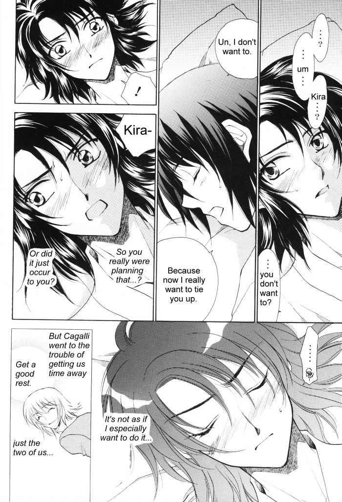 [Yougekishu (Arina Toshimi)] sweet honey moon (Gundam SEED DESTINY) [English] [Arigatomina] - Page 11