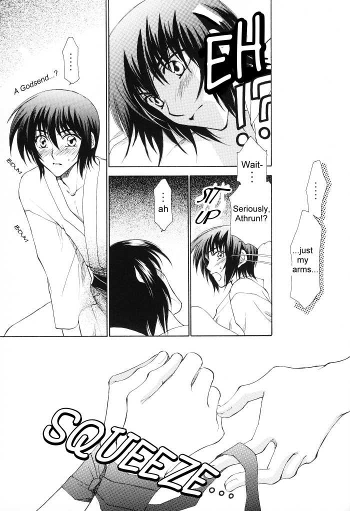 [Yougekishu (Arina Toshimi)] sweet honey moon (Gundam SEED DESTINY) [English] [Arigatomina] - Page 12