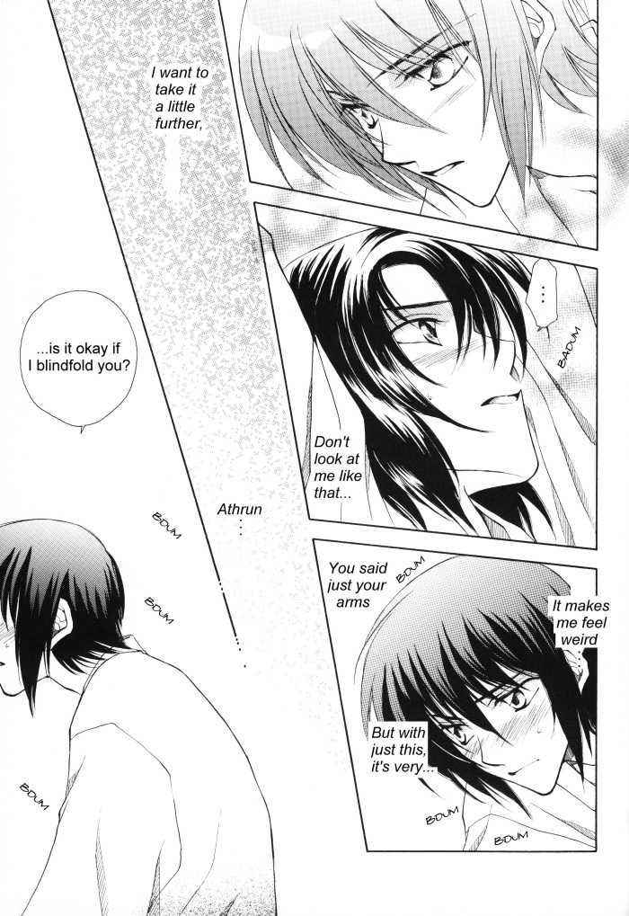 [Yougekishu (Arina Toshimi)] sweet honey moon (Gundam SEED DESTINY) [English] [Arigatomina] - Page 14