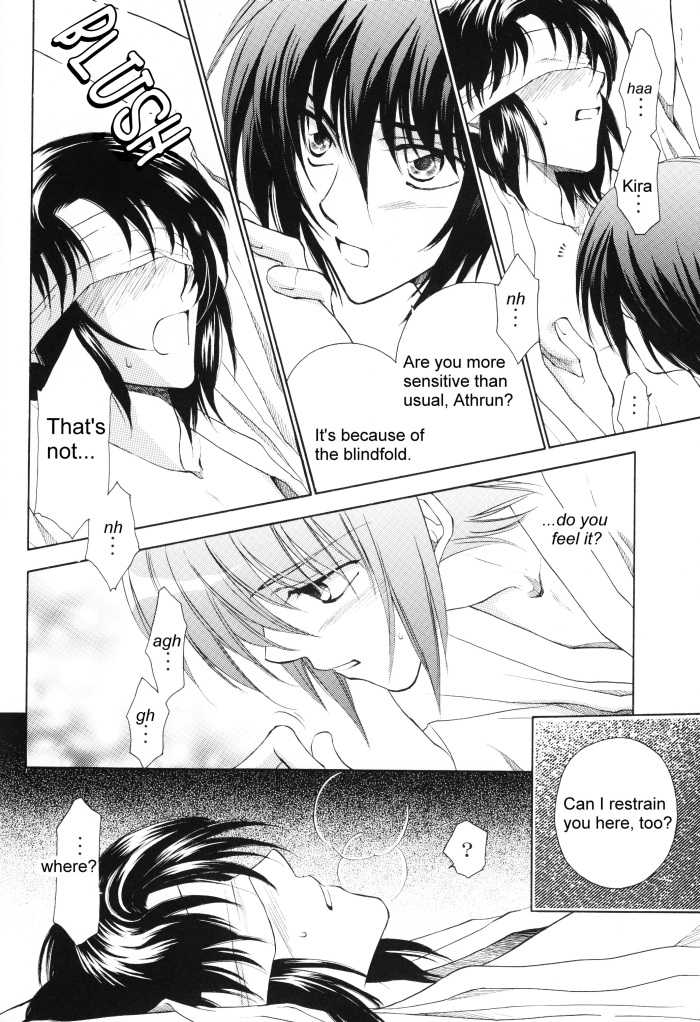 [Yougekishu (Arina Toshimi)] sweet honey moon (Gundam SEED DESTINY) [English] [Arigatomina] - Page 17
