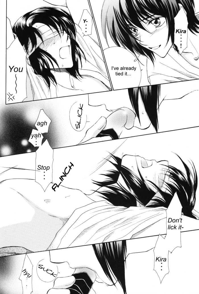 [Yougekishu (Arina Toshimi)] sweet honey moon (Gundam SEED DESTINY) [English] [Arigatomina] - Page 19