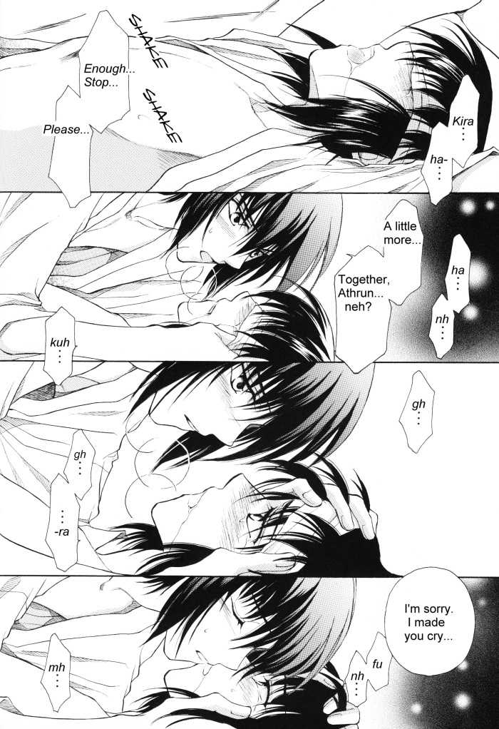 [Yougekishu (Arina Toshimi)] sweet honey moon (Gundam SEED DESTINY) [English] [Arigatomina] - Page 23