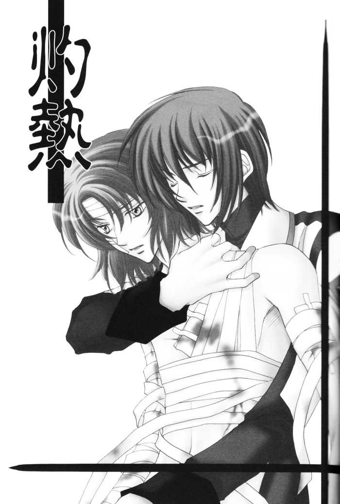(Mimiket 13) [Yougekishu (Arina Toshimi)] Shakunetsu (Gundam SEED DESTINY) [English] [Arigatomina] - Page 2