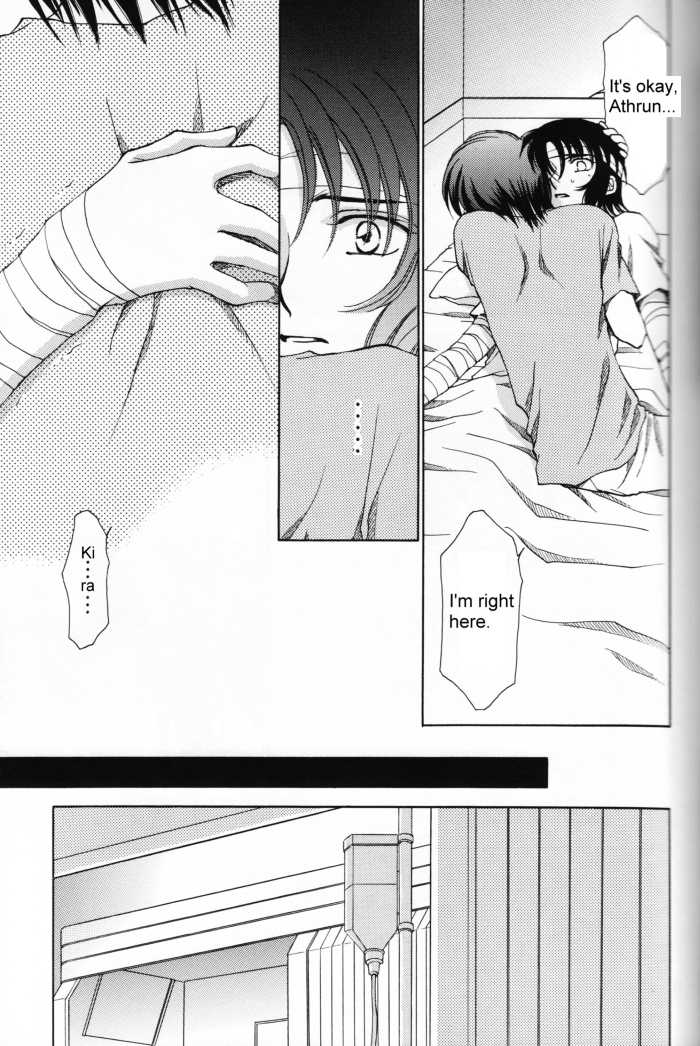 (Mimiket 13) [Yougekishu (Arina Toshimi)] Shakunetsu (Gundam SEED DESTINY) [English] [Arigatomina] - Page 8