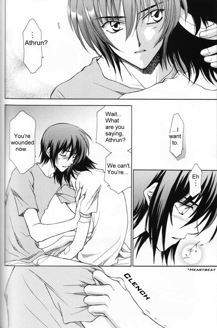(Mimiket 13) [Yougekishu (Arina Toshimi)] Shakunetsu (Gundam SEED DESTINY) [English] [Arigatomina] - Page 9