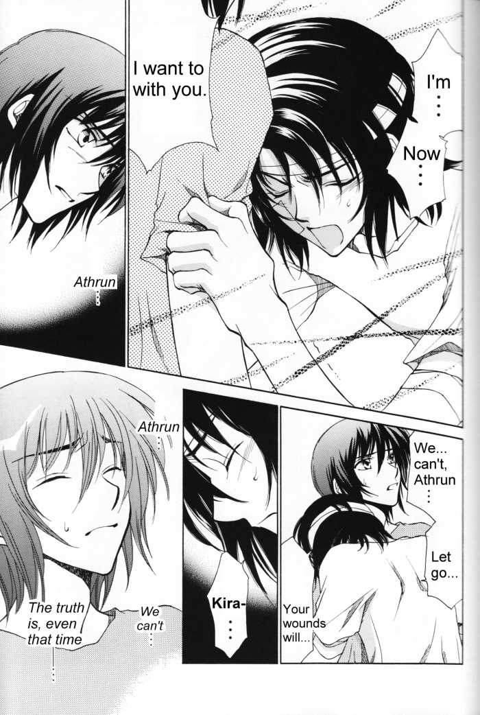 (Mimiket 13) [Yougekishu (Arina Toshimi)] Shakunetsu (Gundam SEED DESTINY) [English] [Arigatomina] - Page 10