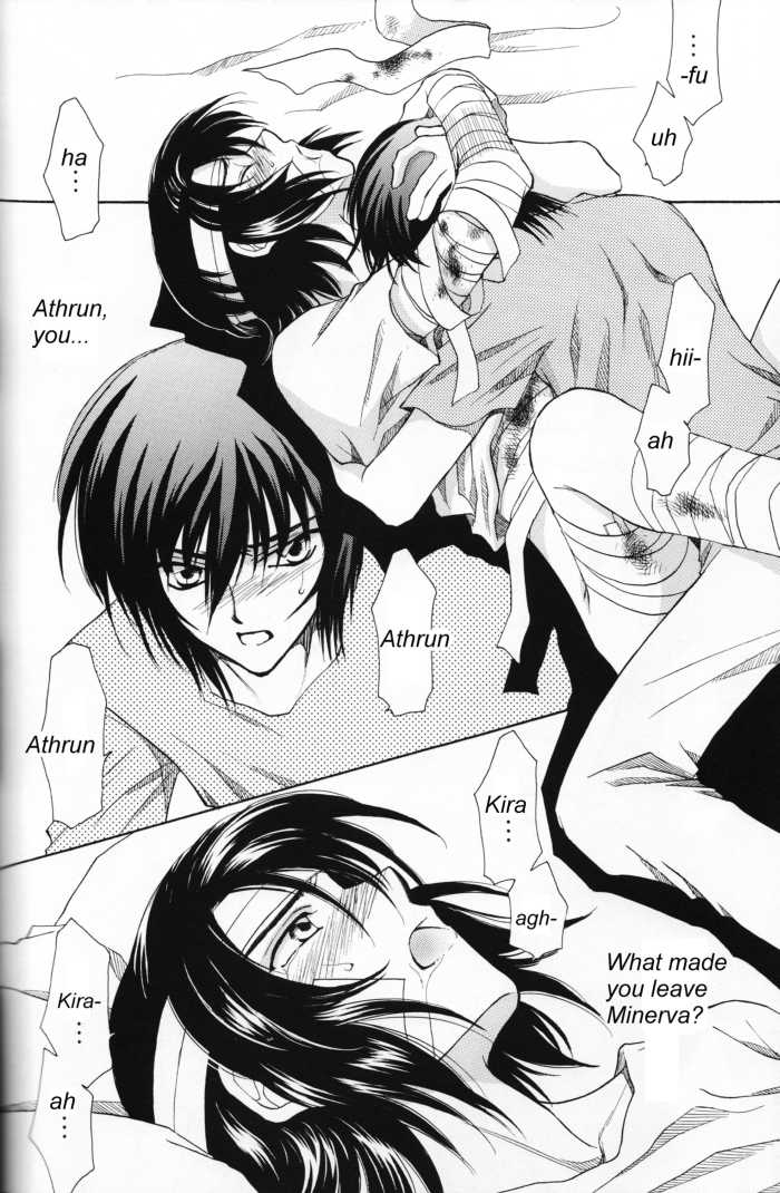 (Mimiket 13) [Yougekishu (Arina Toshimi)] Shakunetsu (Gundam SEED DESTINY) [English] [Arigatomina] - Page 21