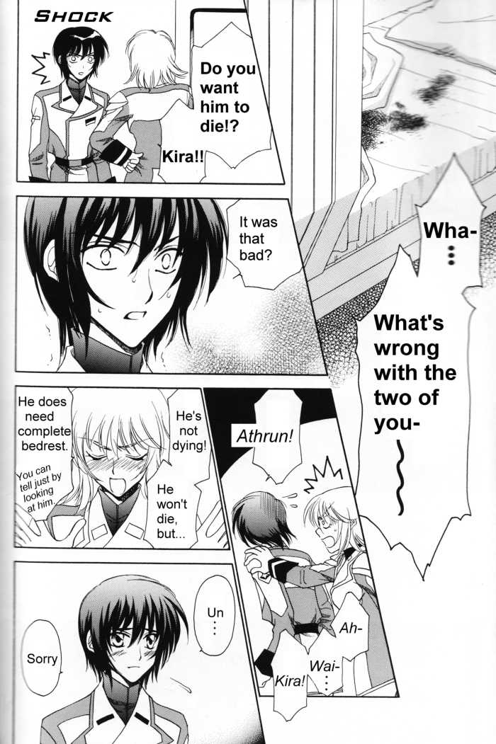 (Mimiket 13) [Yougekishu (Arina Toshimi)] Shakunetsu (Gundam SEED DESTINY) [English] [Arigatomina] - Page 23