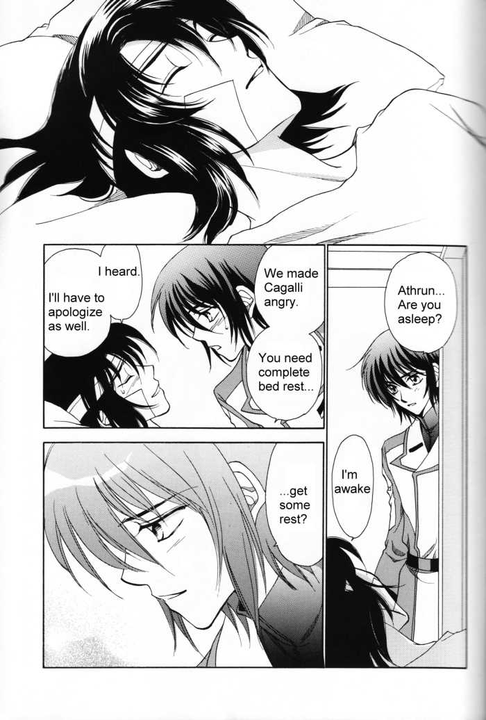 (Mimiket 13) [Yougekishu (Arina Toshimi)] Shakunetsu (Gundam SEED DESTINY) [English] [Arigatomina] - Page 24
