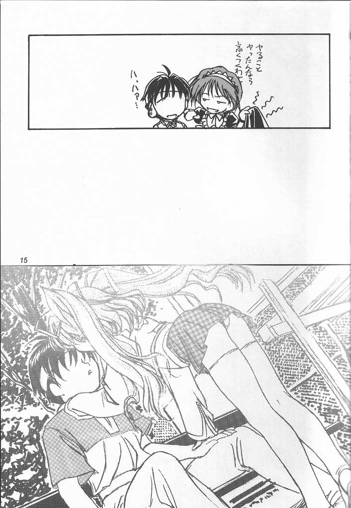 (C56) [MEKONGDELTA & DELTAFORCE, Kouyadou] TOMOMI-X (Welcome to Pia Carrot!! 2) - Page 14