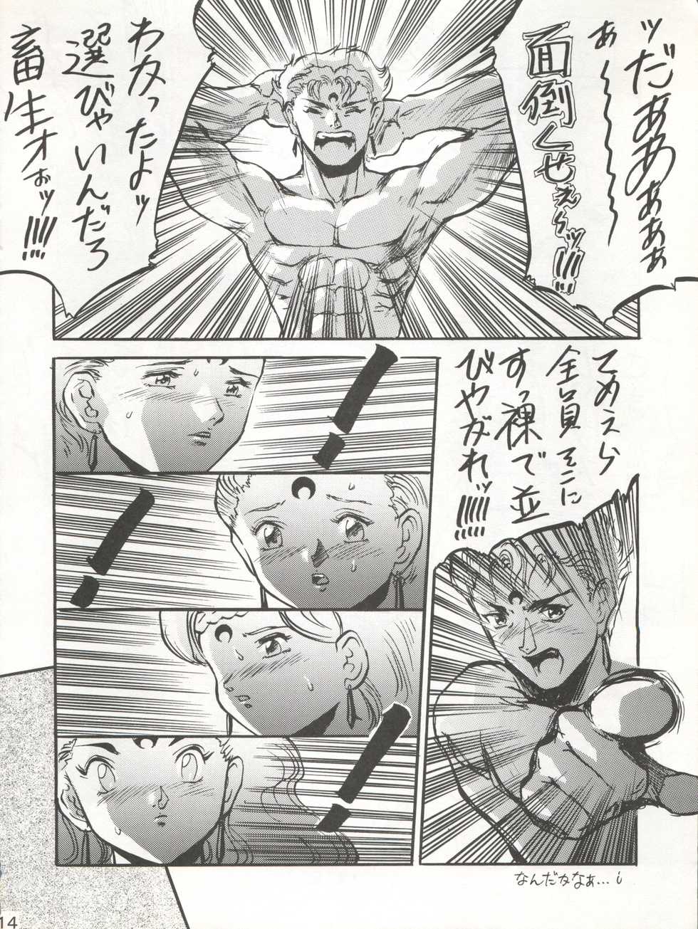 (C45) [Moriman Shoten (Various)] Katze 7 Joukan (Bishoujo Senshi Sailor Moon) - Page 15