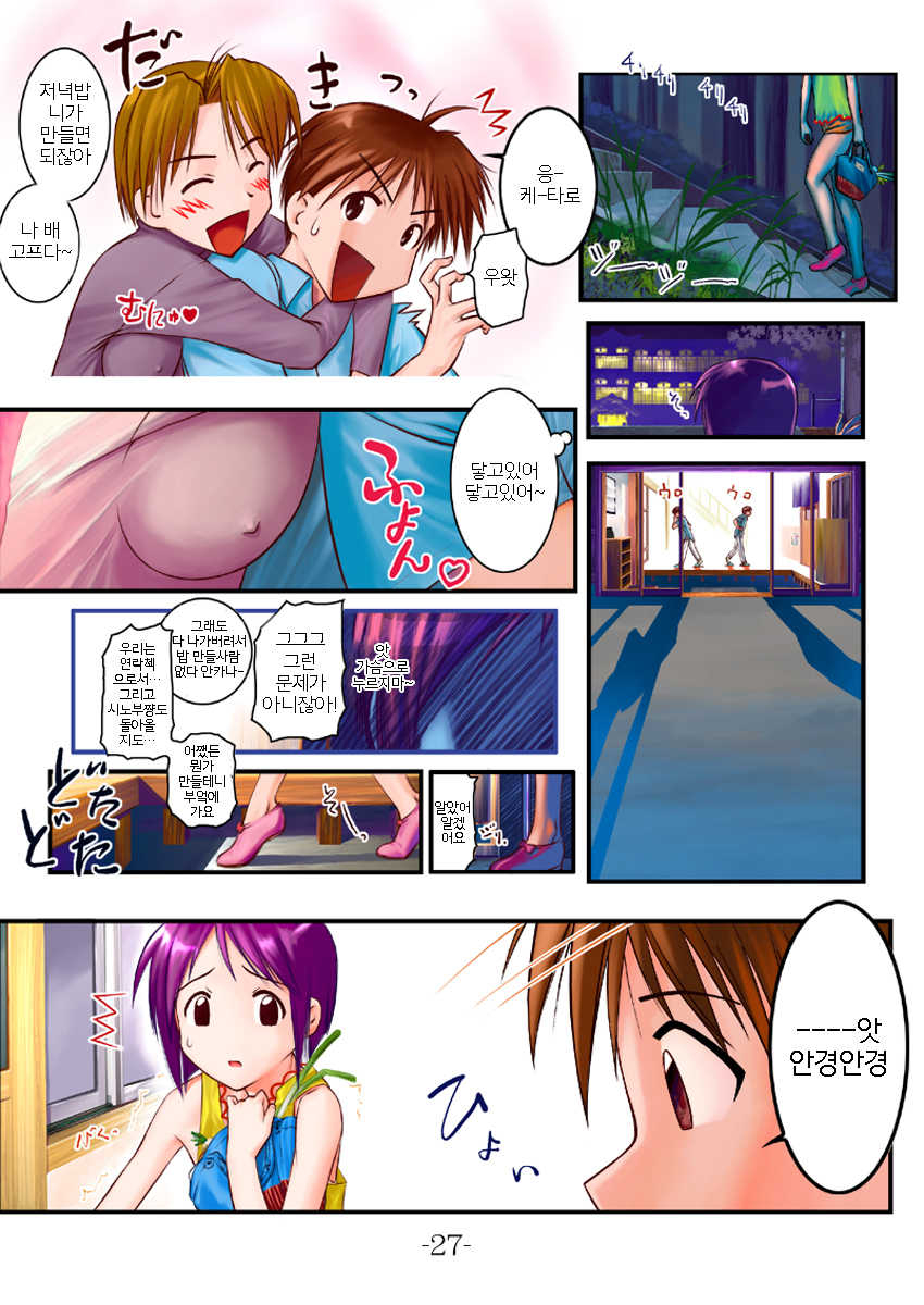 (C77) [Archives (Hechi)] Naburina | 나부리나 (Love Hina) [Korean] [팀 마스터] - Page 27