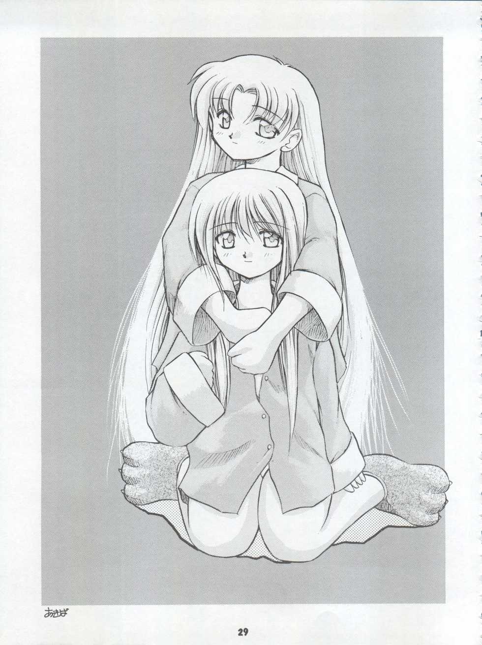 (C50) [Umesuke (Umemachi Syouji)] HABER 8 ~SILVER MOON~ (Bishoujo Senshi Sailor Moon) - Page 29