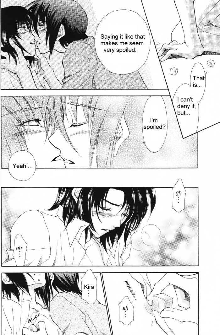[Yougekishu (Arina Toshimi)] Charm (Kidou Senshi Gundam SEED) [English] [Arigatomina] - Page 11