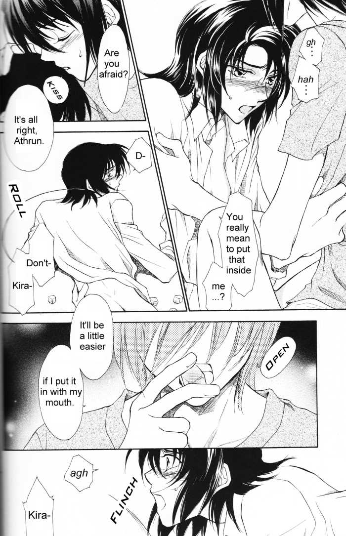 [Yougekishu (Arina Toshimi)] Charm (Kidou Senshi Gundam SEED) [English] [Arigatomina] - Page 13