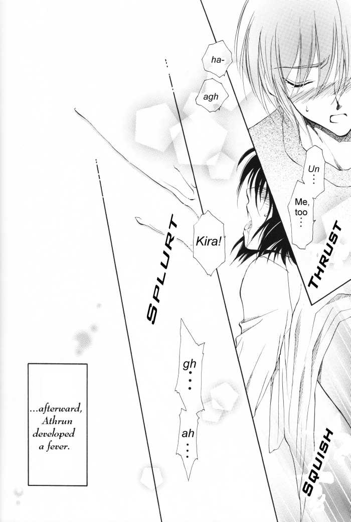 [Yougekishu (Arina Toshimi)] Charm (Kidou Senshi Gundam SEED) [English] [Arigatomina] - Page 17