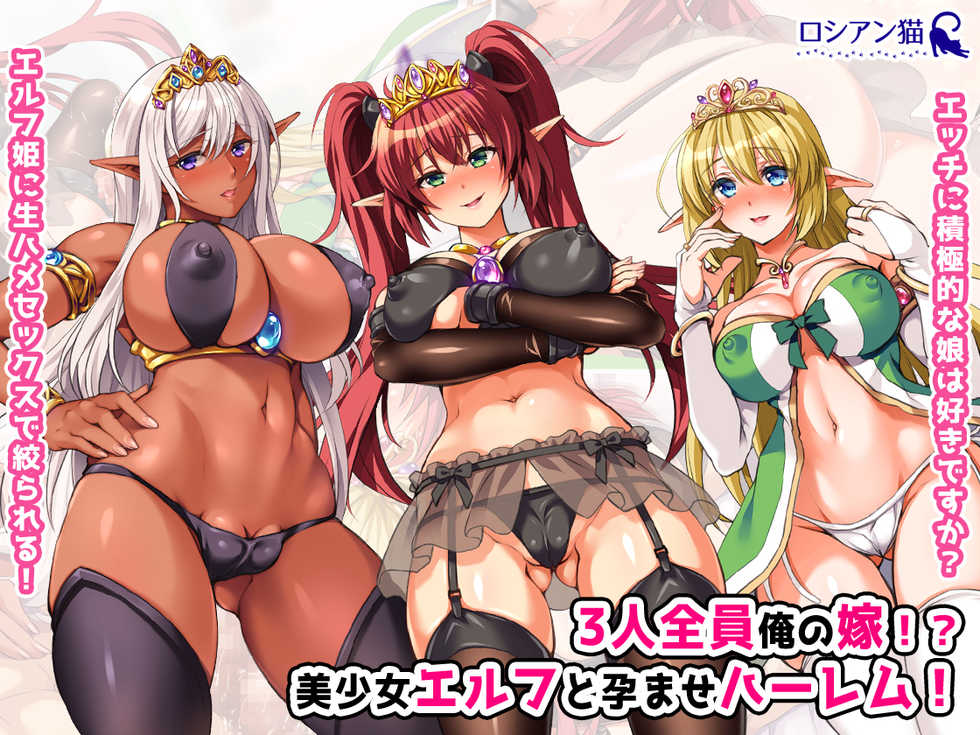 [Russian Neko] Sannin Zenin Ore no Yome!? Bishoujo Elf to Haramase Harem! - Page 1