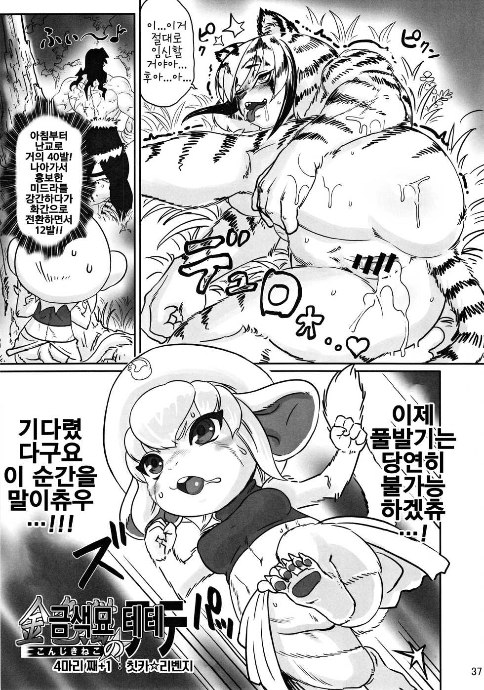 (Kemoket 7) [Mayoineko (Various)] minimum GIRL FRIEND [Korean] [LWND] - Page 37