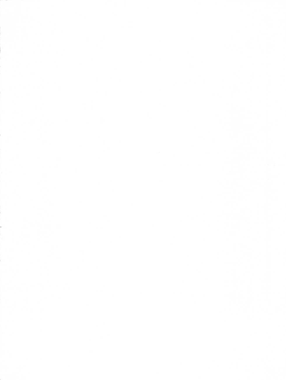 [H.P.C. Meirei Denpa (Yamamoto Yoshifumi, Yasumaro Oono)] Meirei Denpa Rinne Tenshou (Martian Successor Nadesico, Bakusou Kyoudai Lets & Go!!) - Page 2