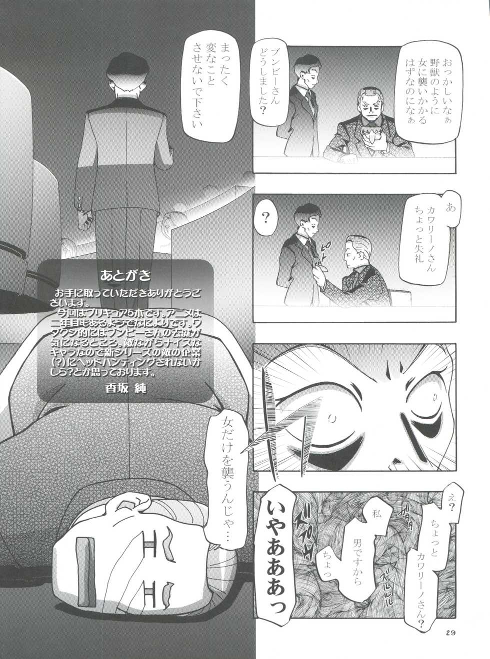 (C73) [Gambler Club (Kousaka Jun)] Mizugi de Punicure (Yes! Precure 5) - Page 29