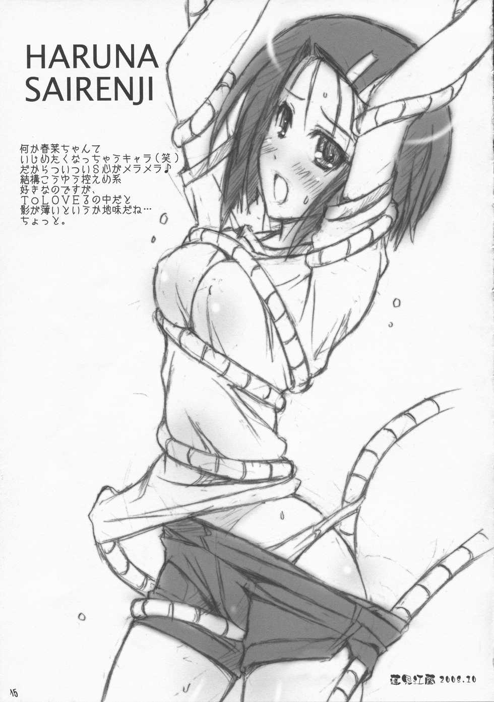 (SC41) [Happy Paranoia, Shikkokuno J.P.S. (Wanashiro Giovanna, Hasumi Elan)] FLAME UP (To LOVE-Ru) - Page 14