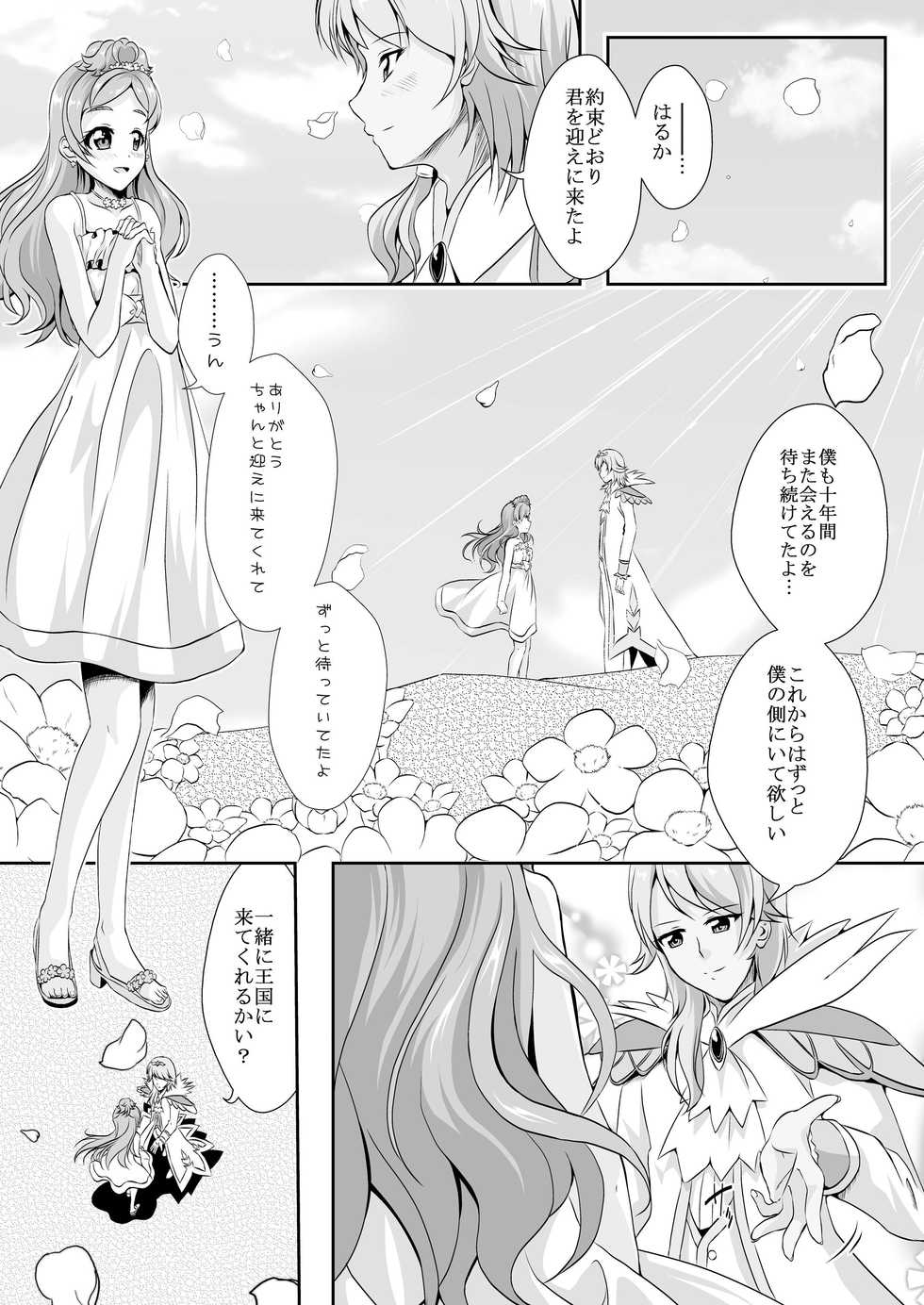 [MirrorWorld (Mira)] Kekkon Mae ni Kimi to Sugosu Yoru (Go! Princess Precure) [Digital] - Page 5