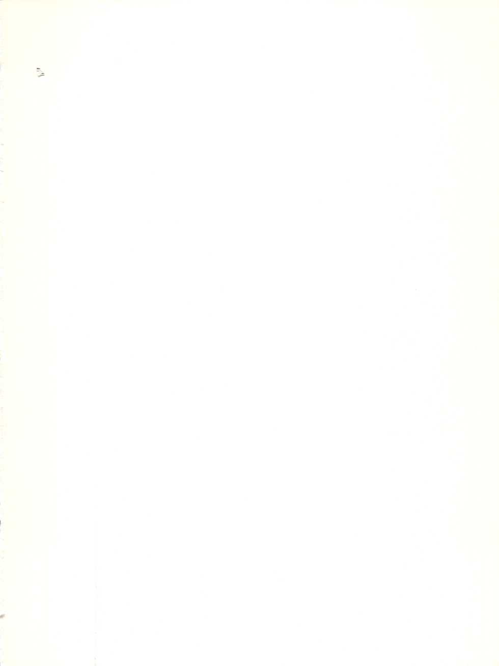 [P.A. Project (Various)] Yarujan! (Tobe! Isami) - Page 3