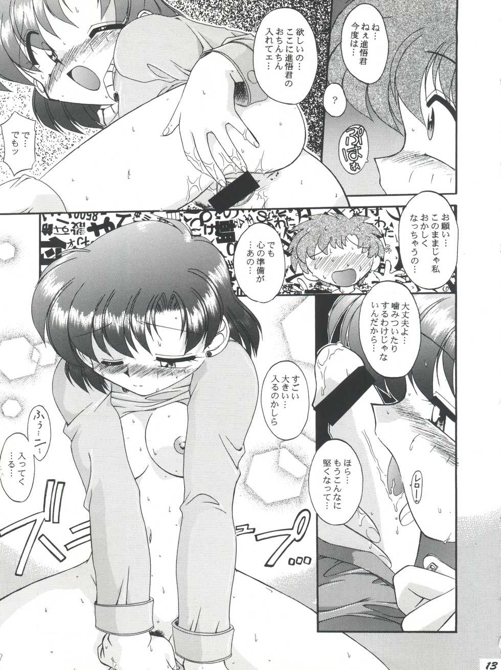 (C51) [Umesuke (Umemachi Syouji)] HABER EX VIII ANOTHER MOON RISING (Bishoujo Senshi Sailor Moon) - Page 13