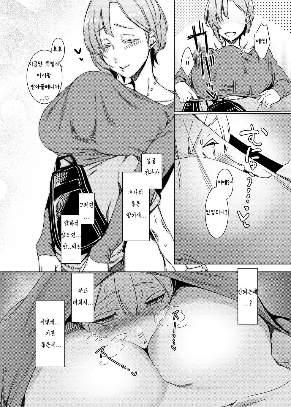 [Nanbou Hitogakushiki (Nakamura Regura)] Mami no Meguri [Korean] [Digital] - Page 11