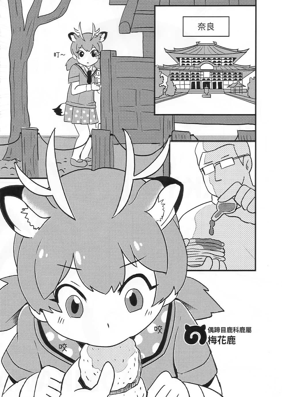(FF32) [Kazbox (Kazma)] FXXK YOU KADOKAWA (Kemono Friends) [Chinese] - Page 8