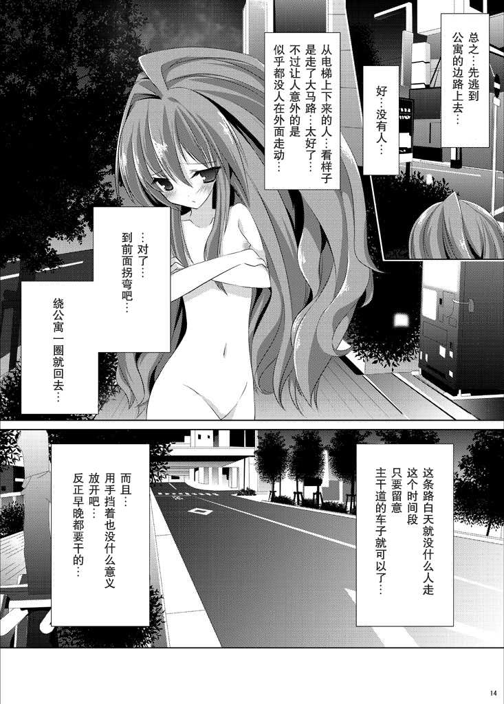 [Mint Chocolate (Himuro Kouichi, Raw)] Roshutsu Shoujo Tora (Toradora!) [Chinese] [匿名无名汉化] [Digital] - Page 14