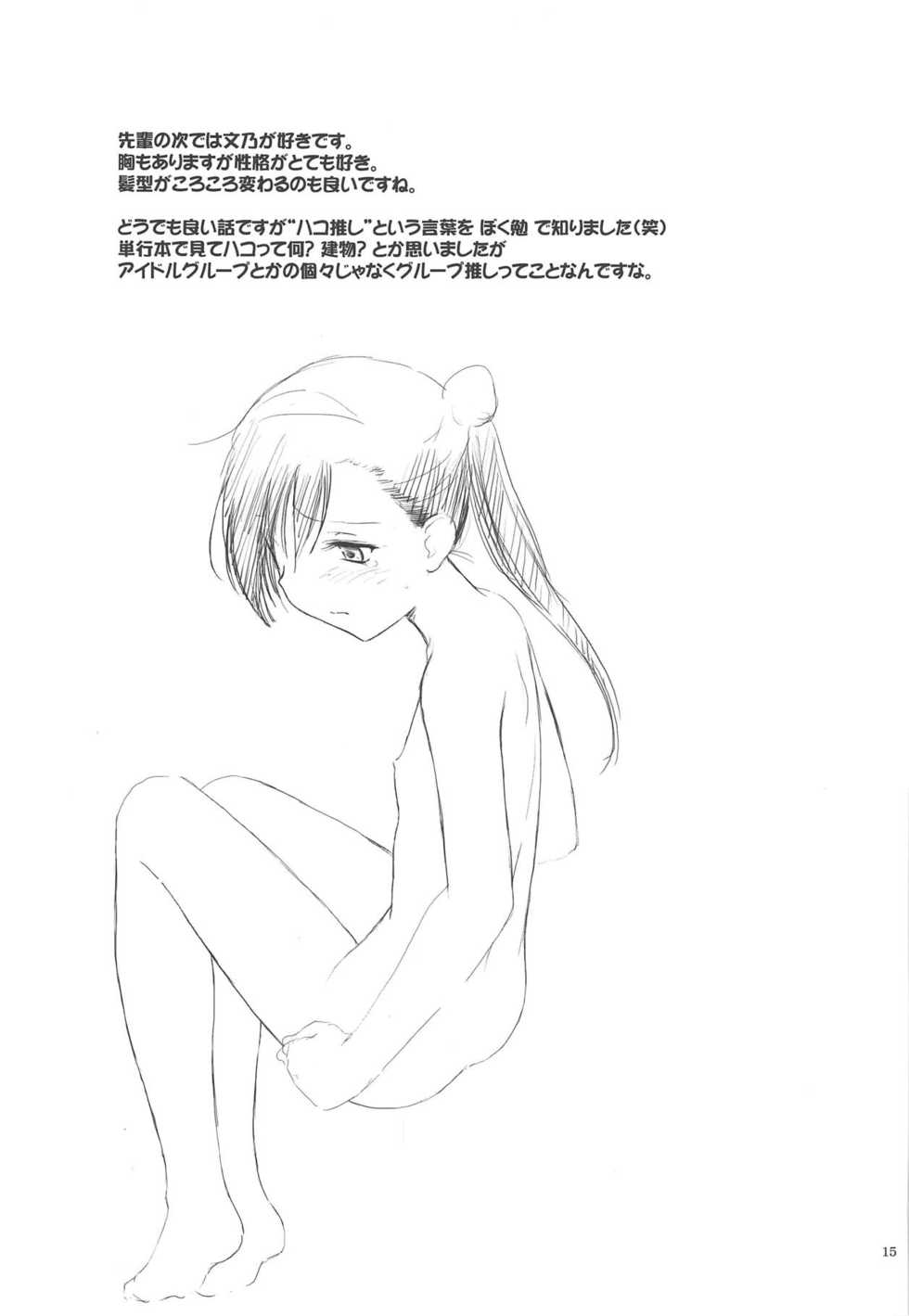 (C95) [Pazzo S.P. (Akikaze Shirakumo)] Petite Soeur 17 (Bokutachi wa Benkyou ga Dekinai) - Page 14