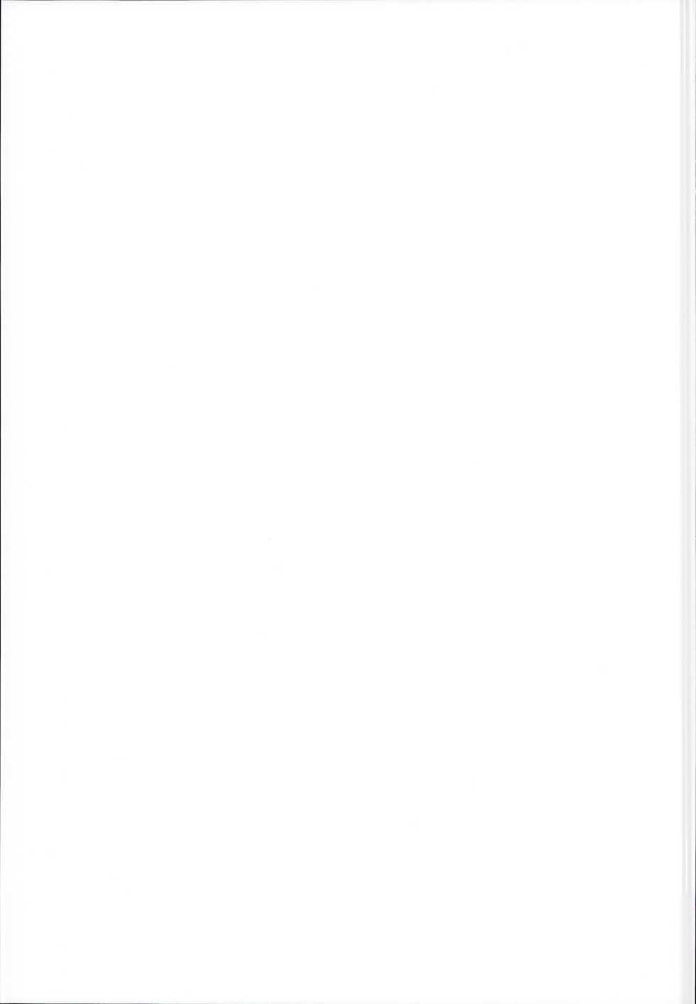 (C95) [Aoirokanata, Nekonukomarimo (Shikitani Asuka, gamute Nyako)] Inukamix! (Granblue Fantasy) [Chinese] [脸肿汉化组] - Page 31