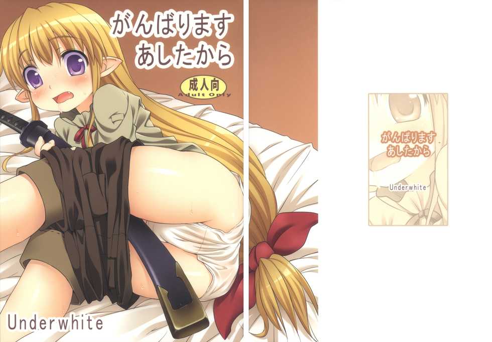 (C77) [Underwhite (broiler)] Ganbarimasu Ashita kara (The Sacred Blacksmith) - Page 2