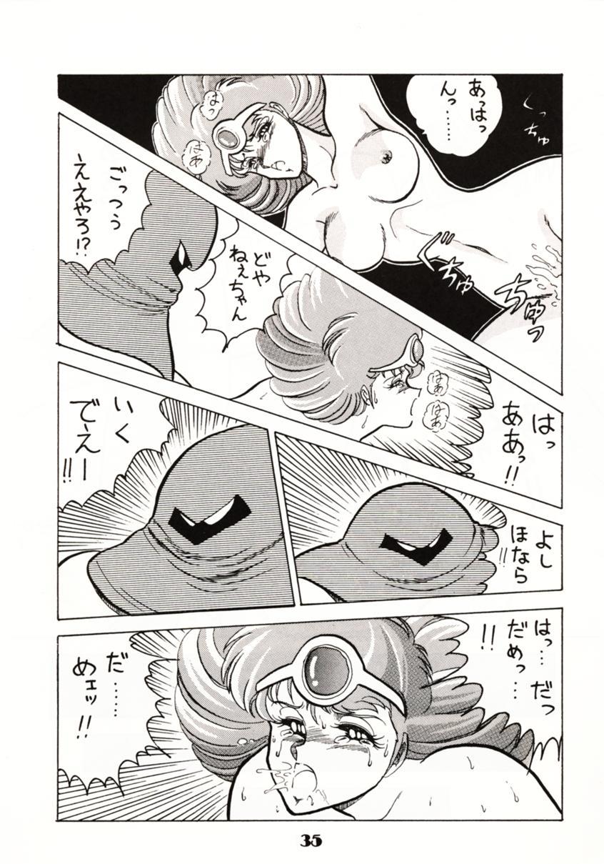 (C39) [Circle Taihei-Tengoku (Towai Raito)] Zone 2 (Kidou Keisatsu Patlabor, Dragon Quest IV) - Page 34