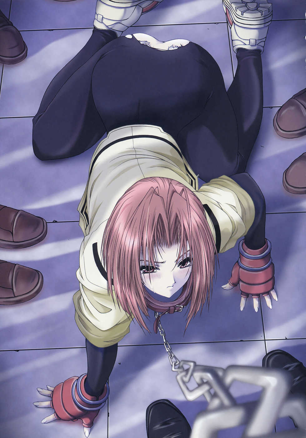 [Illustrations] Nijigen Dream Magazine Illustrations #2 - Page 11