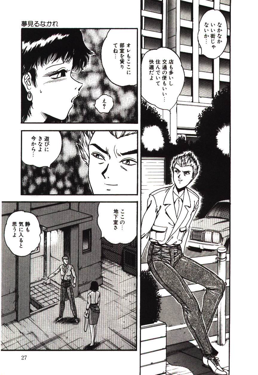 [Tarumoto Hajime] Mijyukuka - Page 27