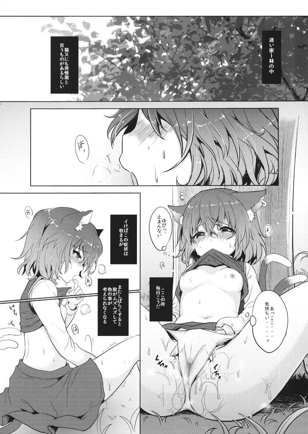 (Meikasai 11) [Kingyo Origin (Kayama Rim)] Chen-chan no Hatsujouki (Touhou Project) - Page 3
